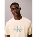 Calvin Klein man tee t shirt kaos cowo pria 4RB862G
