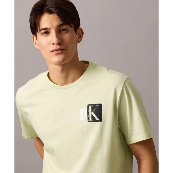 CALVIN KLEIN Contrast Box Logo Graphic Classic T Shirt  4RB858G