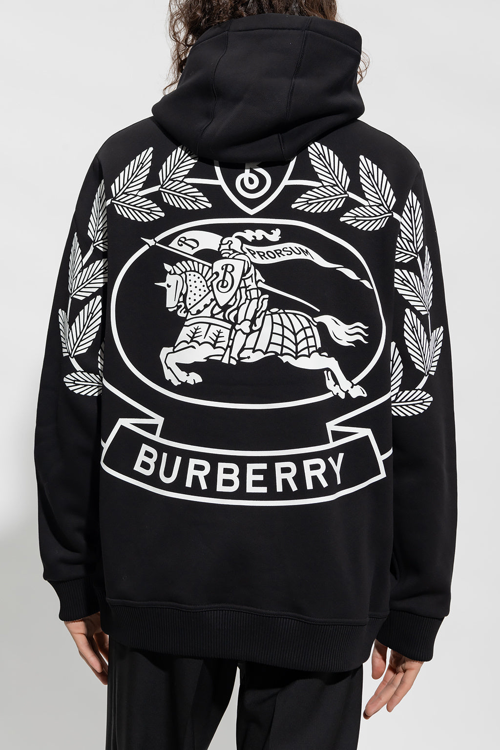 BURBERRY Avondale EKD Print Cotton Blend Hoodie 8057967