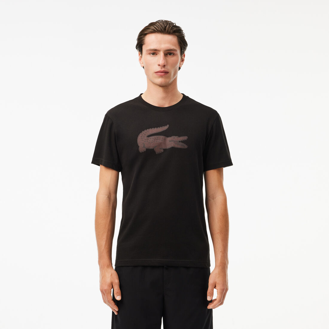 LACOSTE T Shirt Tee Kaos Pria TH2042