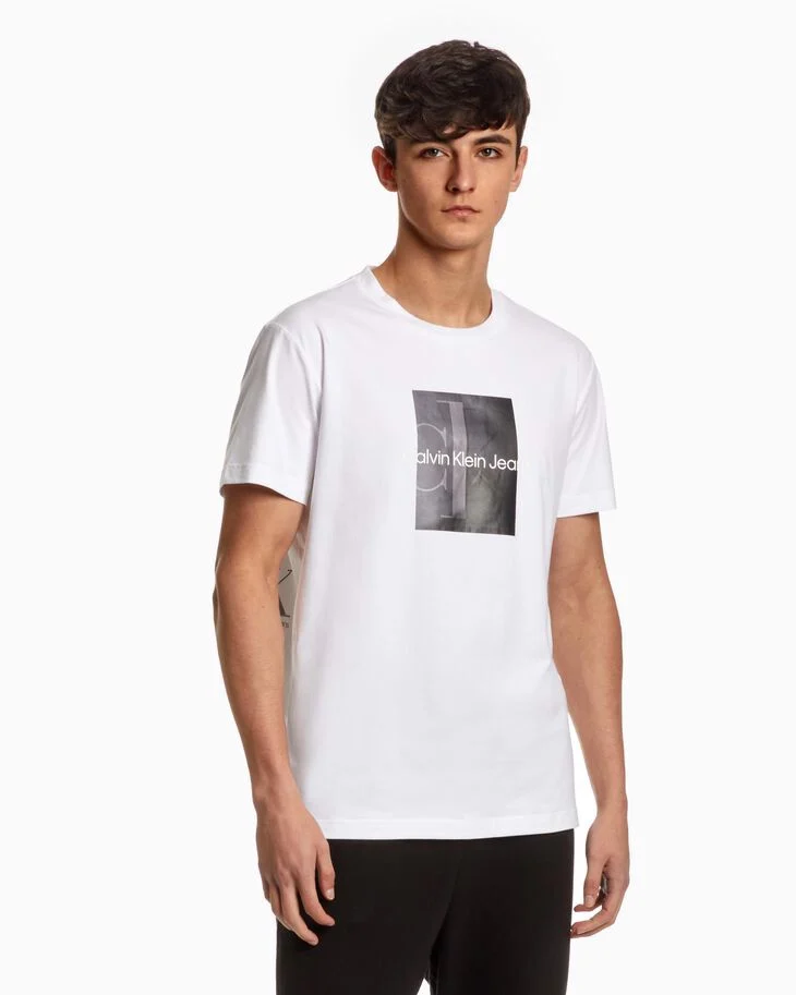 CALVIN KLEIN PREMIUM CAPSULE Print Micro-elastic T Shirt