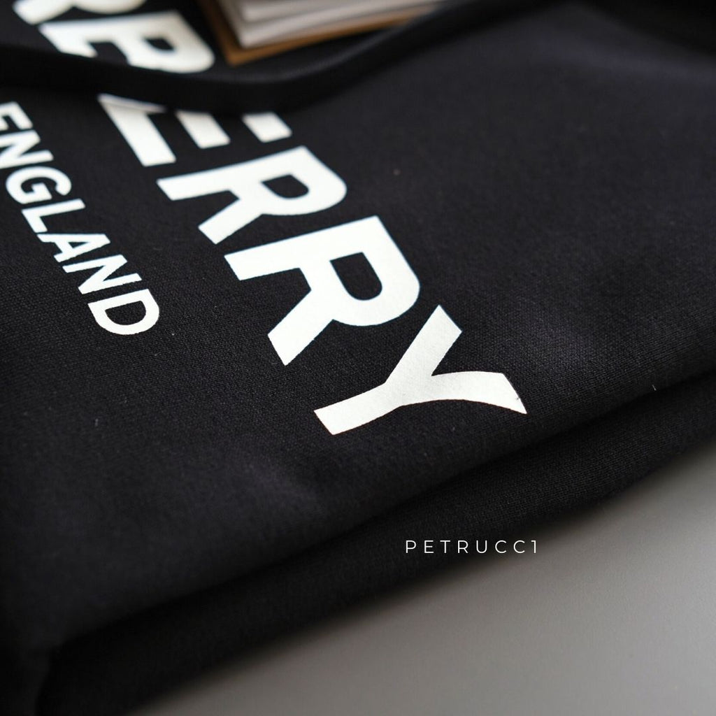 BURBERRY Lexstone HOODIE 8009509
